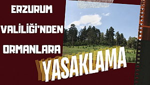 Erzurum Valiliği tarafından, Ormanlık alanlara girişlerin 15 Ekim’e kadar yasaklandığı duyuruldu!